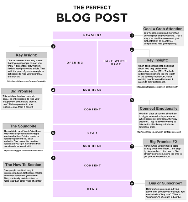 Infographic detailing the structure of the perfect blog post with sections for headline, content, and calls to action.