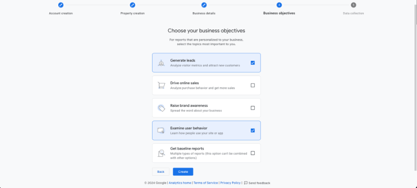 Business objectives selection in Google Analytics setup including lead generation and sales options.