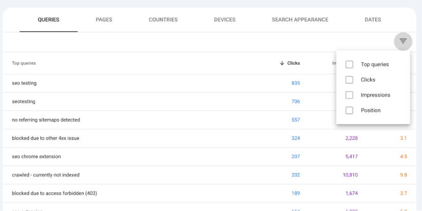 Top queries with filter dropdown for clicks, impressions, and positions in Google Search Console.