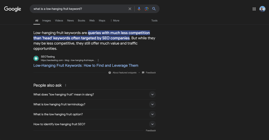 Google search result showing a featured snippet for the query "What is a low-hanging fruit keyword?" from SEOTesting.com. The snippet defines low-hanging fruit keywords as queries with much less competition than 'head' keywords, offering significant value and traffic opportunities. Below the snippet, the "People also ask" section displays related questions.